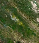 Wildflower blooms appear as yellow patches at the center of satellite images centered on Carrizo Plain National Monument. The blooms spread and intensify between March 5 and March 13.