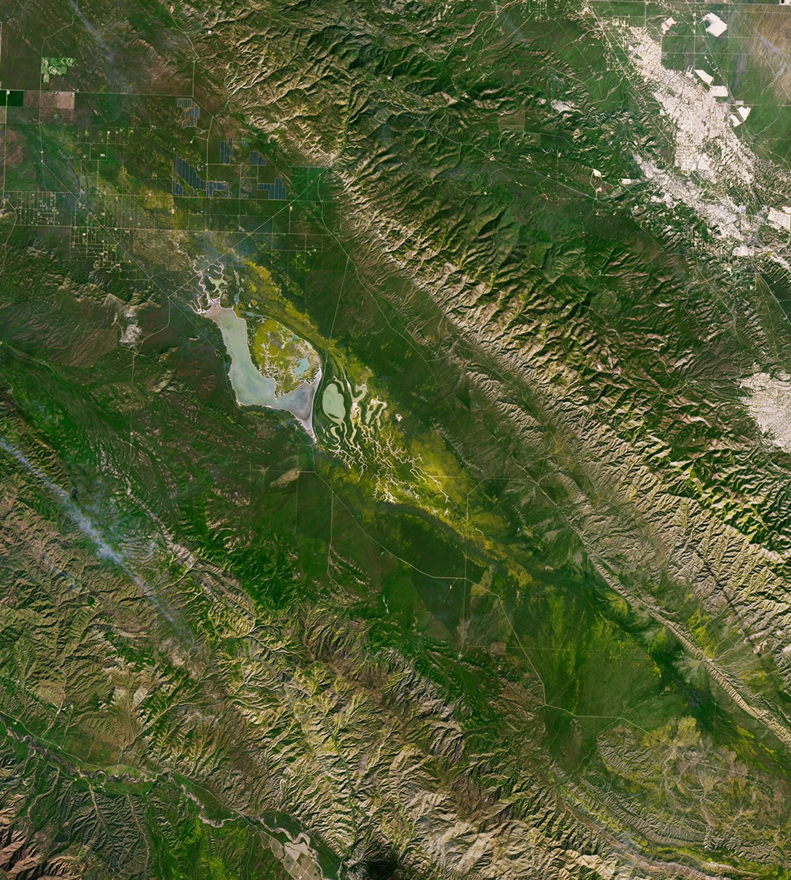Wildflower blooms appear as yellow patches at the center of satellite images centered on Carrizo Plain National Monument. The blooms spread and intensify between March 5 and March 13.
