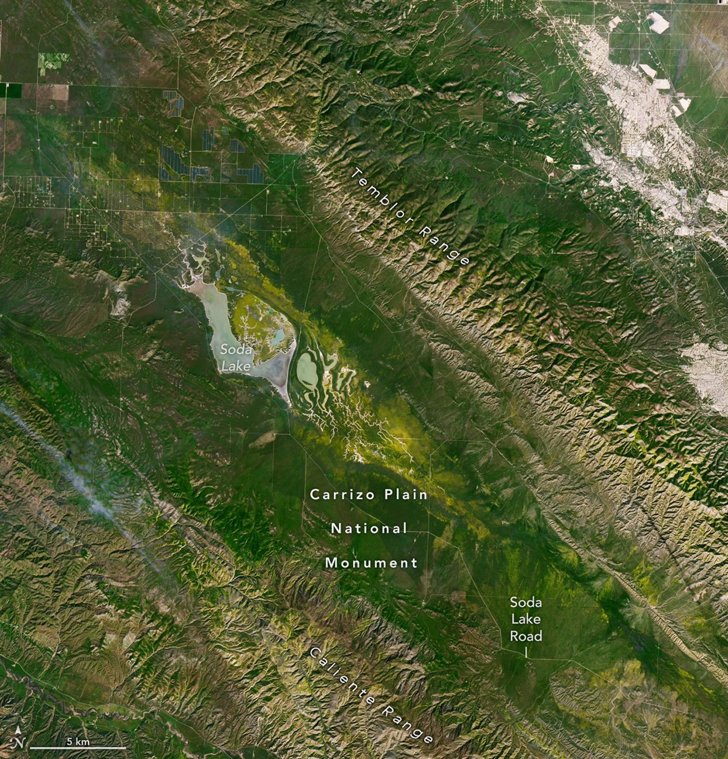 Wildflower blooms appear as yellow patches at the center of satellite images centered on Carrizo Plain National Monument. The blooms spread and intensify between March 5 and March 13.