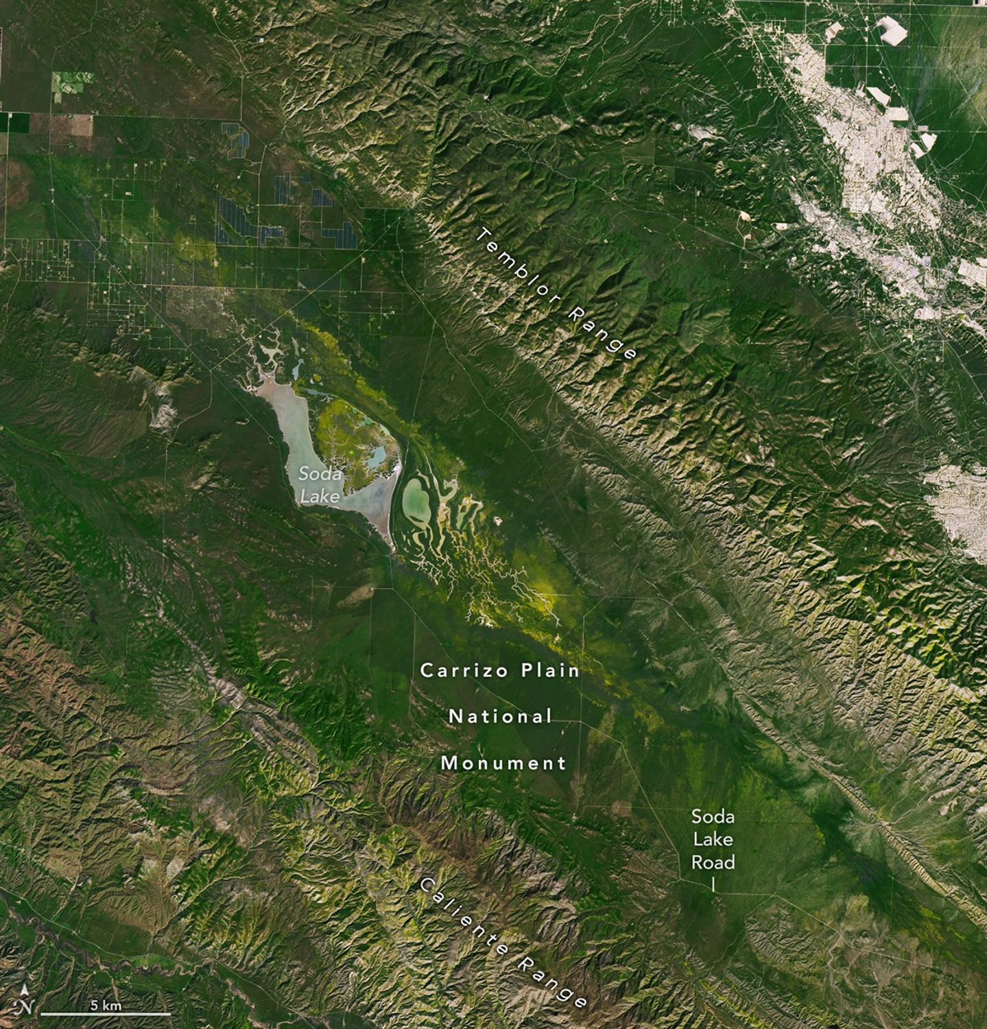 Wildflower blooms appear as yellow patches at the center of satellite images centered on Carrizo Plain National Monument. The blooms spread and intensify between March 5 and March 13.