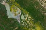 A more detailed view shows yellow blooms against a background of green surrounding Soda Lake and several streams to its east.