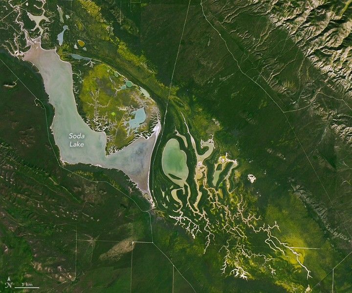 A more detailed view shows yellow blooms against a background of green surrounding Soda Lake and several streams to its east.