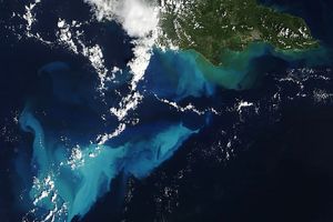 pedrobanksediment_tmo_20251030_th image