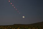 A composite photo shows the Sun at several times and locations during the progression of a total solar eclipse. The Sun’s path descends diagonally from the top left across a dimmed sky, with a field of sunflowers in the foreground.