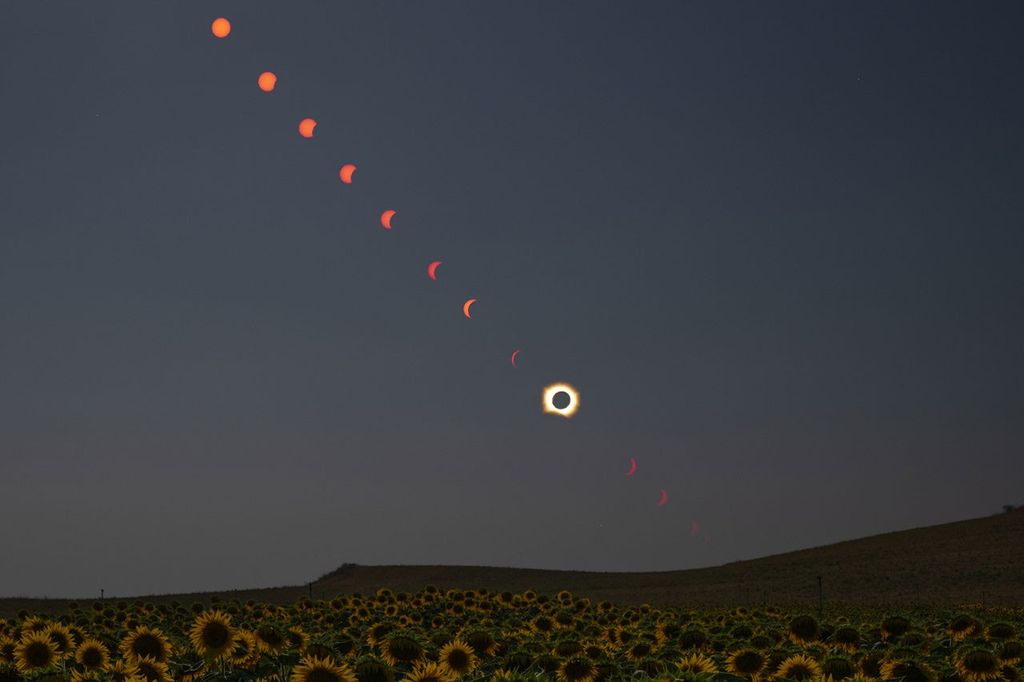 A Sunflower’s View of Totality