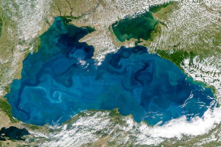 NASA satellite image: Black Sea phytoplankton bloom