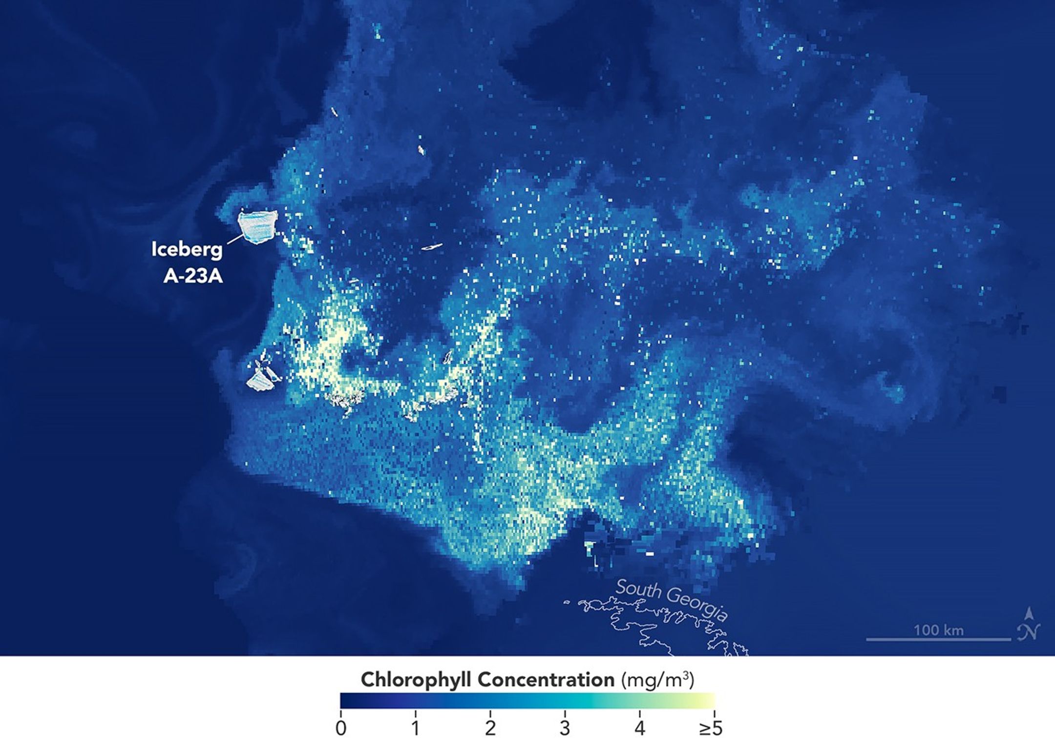 A map of the same area shows chlorophyll-a plumes appearing to emanate from many icebergs scattered throughout the region. Plumes with higher concentrations of chlorophyll-a—a proxy for phytoplankton—appear in lighter shades and dissipate as they drift and swirl in ocean currents.