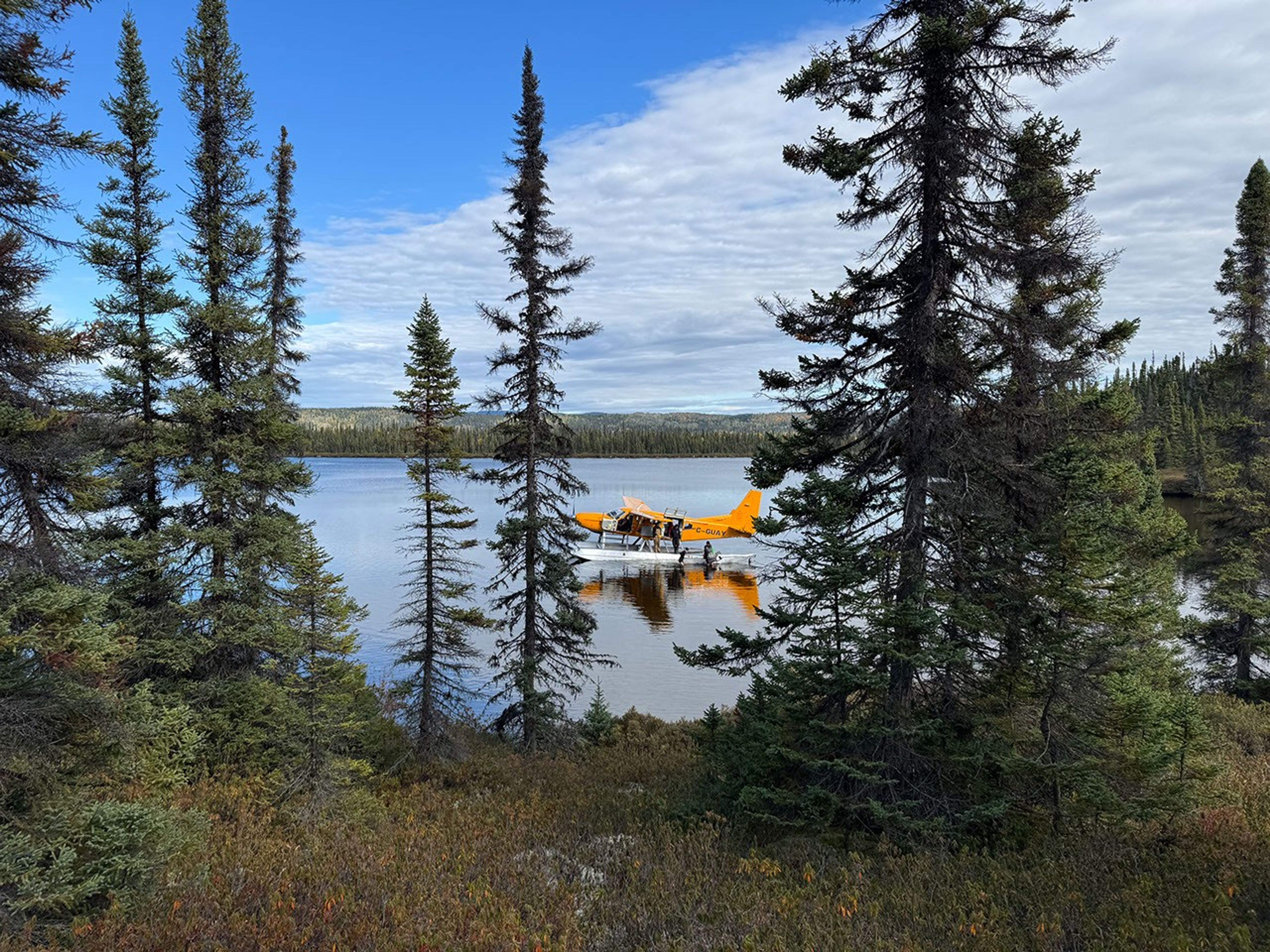 A yellow plane rests on a calm lake, framed by tall spruce trees and shrubs on shore. Two people are wading through the knee-deep water while two others stand on the plane.
