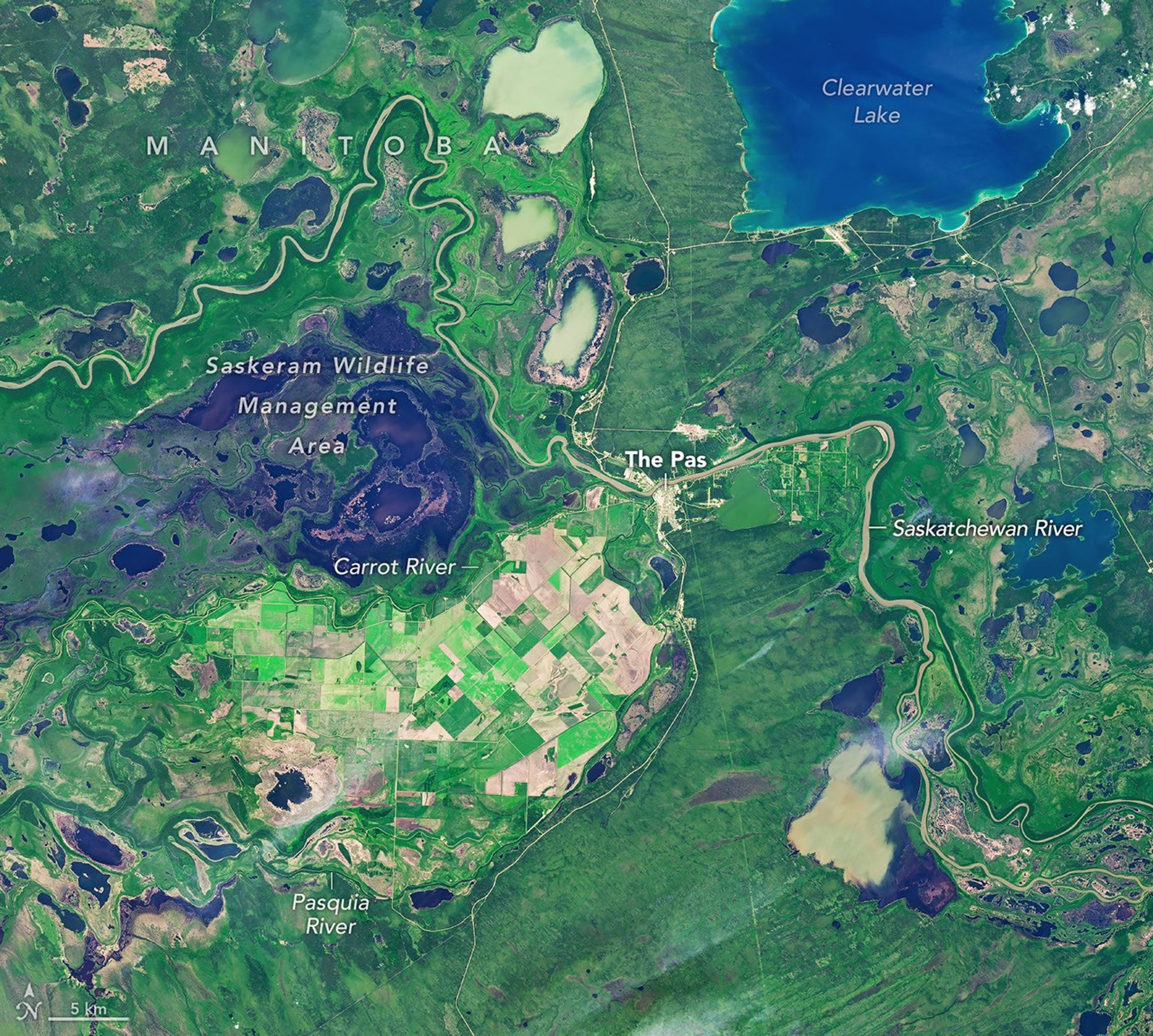 A satellite image captured in summer shows farm fields in a patchwork of green and brown, surrounded by green wetlands dotted with dark patches of open water.