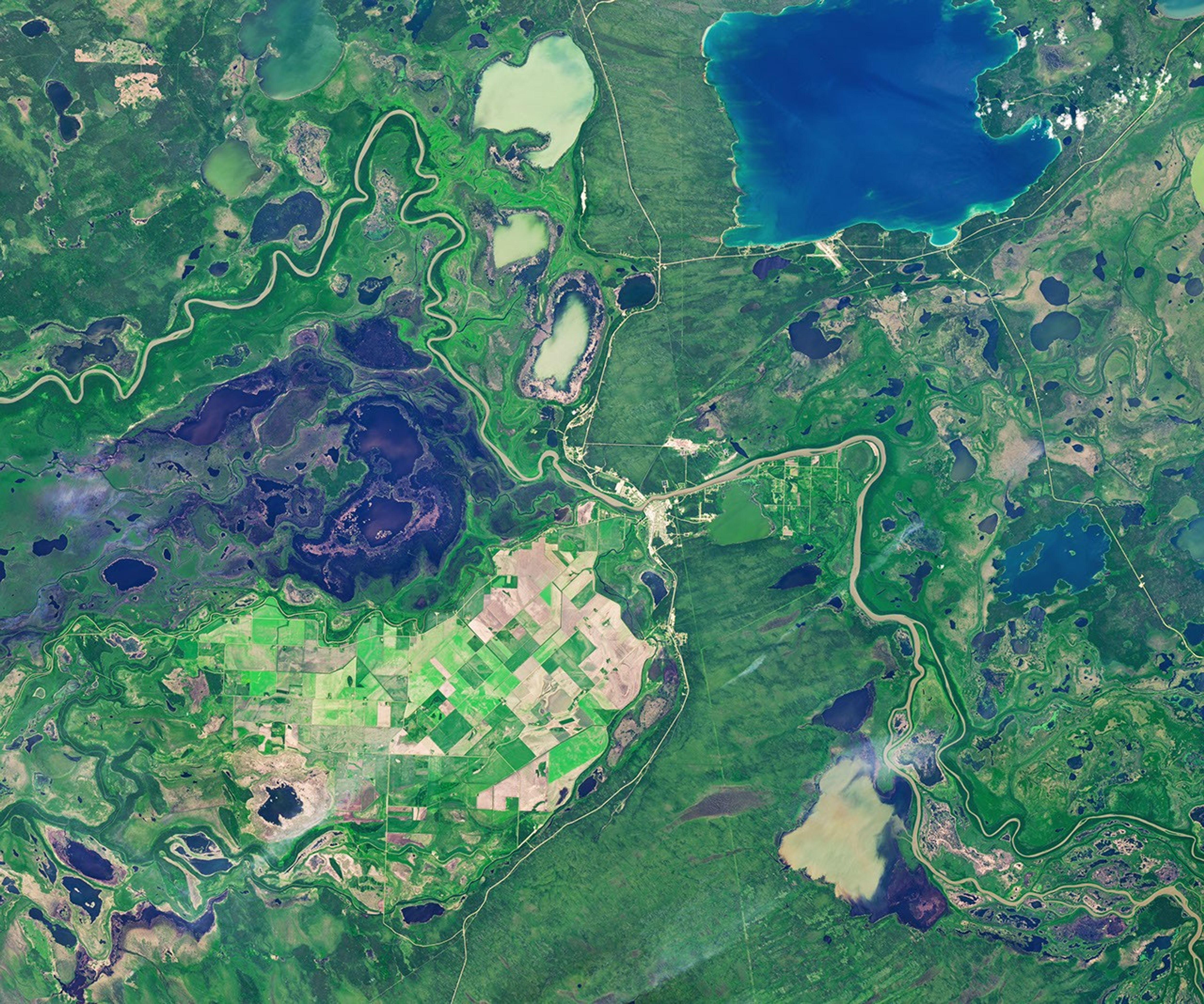 A satellite image captured in summer shows farm fields in a patchwork of green and brown, surrounded by green wetlands dotted with dark patches of open water.