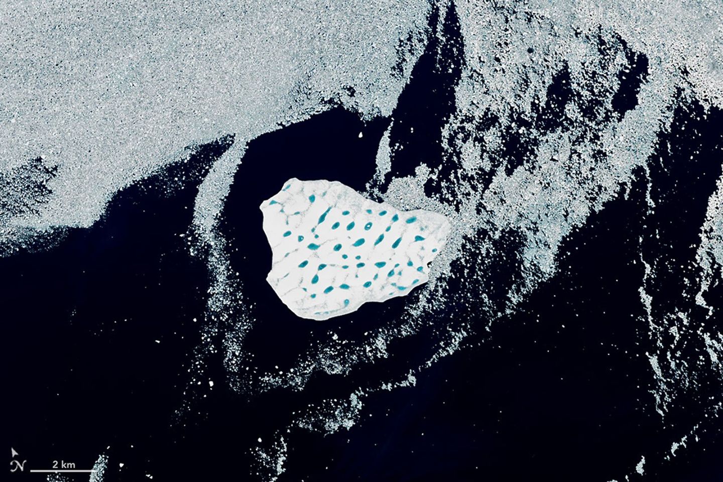 A detailed view shows the iceberg's bright white surface pocked with light blue meltwater ponds. Broken pieces of sea ice float around the iceberg in otherwise dark blue ocean water.
