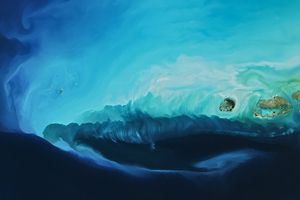 Arctic Blast Brightened the West Florida Shelf