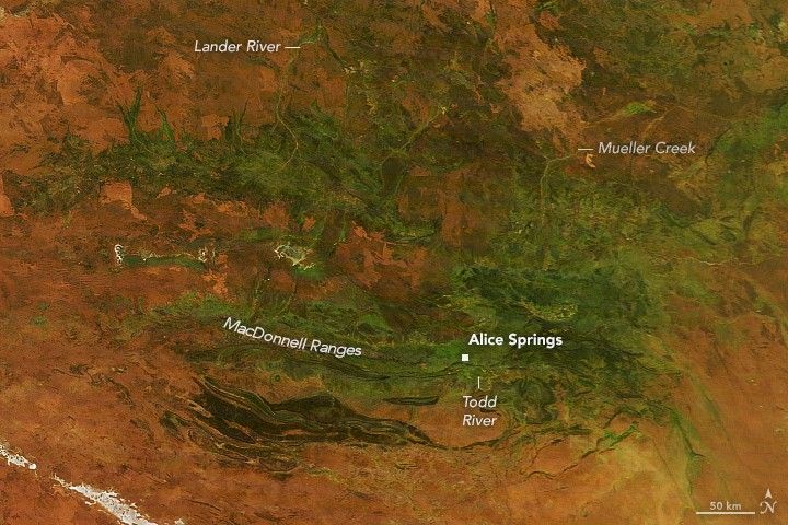 Central Australia’s desert landscape shows widespread green vegetation across areas that are typically red.