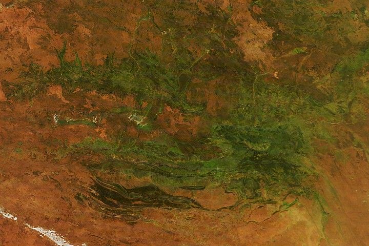 Australia’s “Red Centre” Turns Green