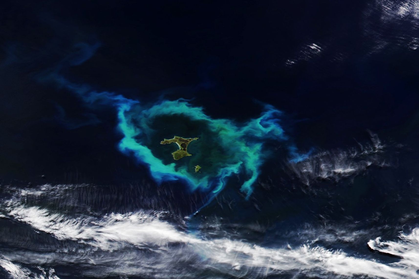 A phytoplankton bloom in the southern Pacific Ocean appears as an oval-shaped area of green and chalky blue water surrounding a group of small islands.