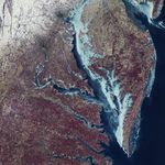 A false-color satellite image of the Chesapeake Bay region shows the bay and its tributaries largely frozen, with the thickest blue and white ice concentrated along the eastern shoreline.