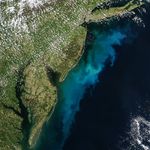 Bright milky blue ribbons of water are visible along the coast along with patches of brown and green in some areas.