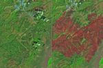 An image of the same area shows a large brown patch spanning much of the image in an image acquired after the fire on June 29, 2026.