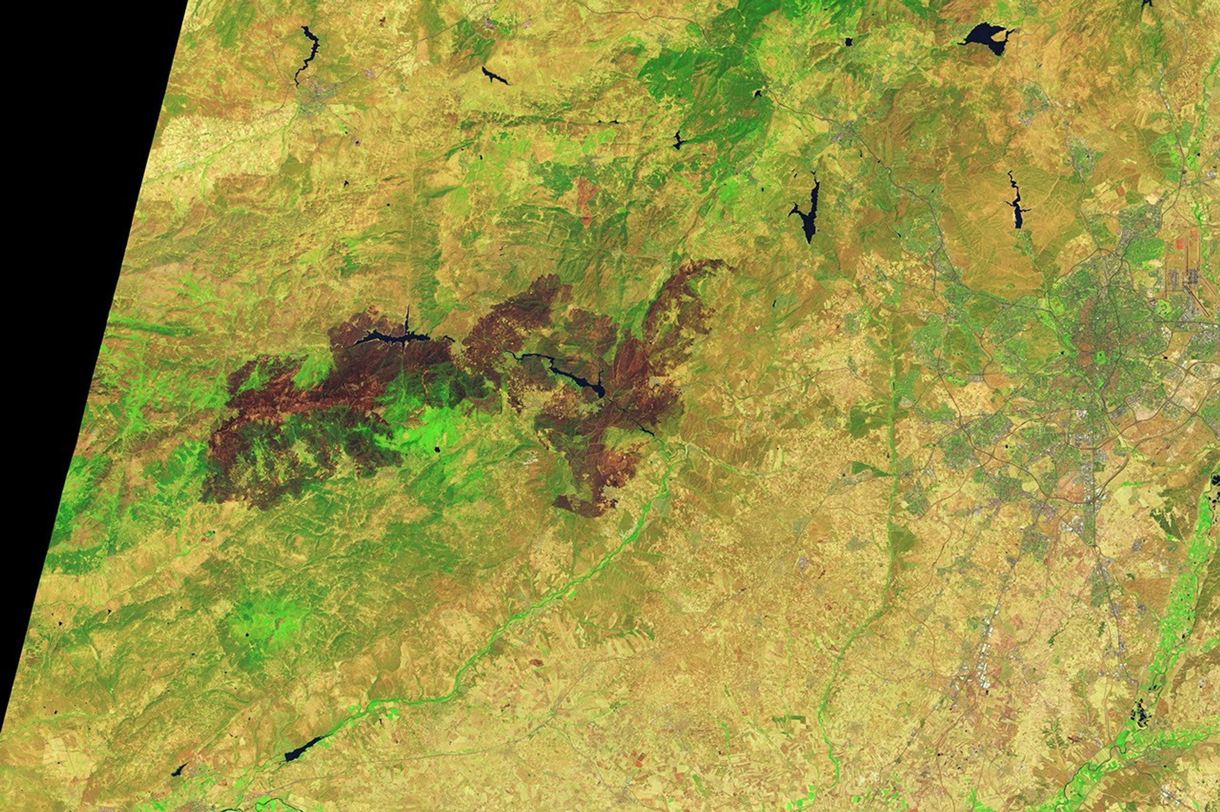 Cicatrices de los incendios de julio de 2026 alrededor de embalses en el centro de España, observadas por Landsat 9