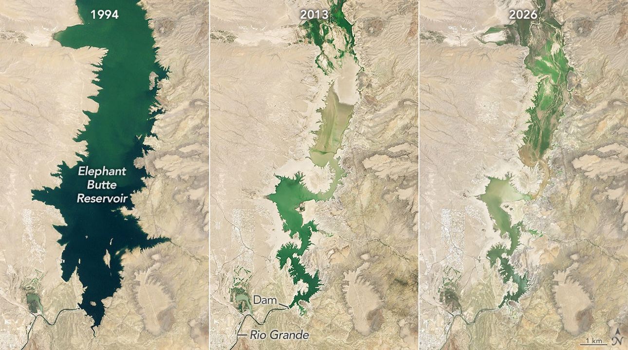 A three-part image shows Elephant Butte Reservoir in New Mexico in 1994, 2013, and 2026. In 1994, on the left, the lake is nearly full. In the other two years, it is close to empty.