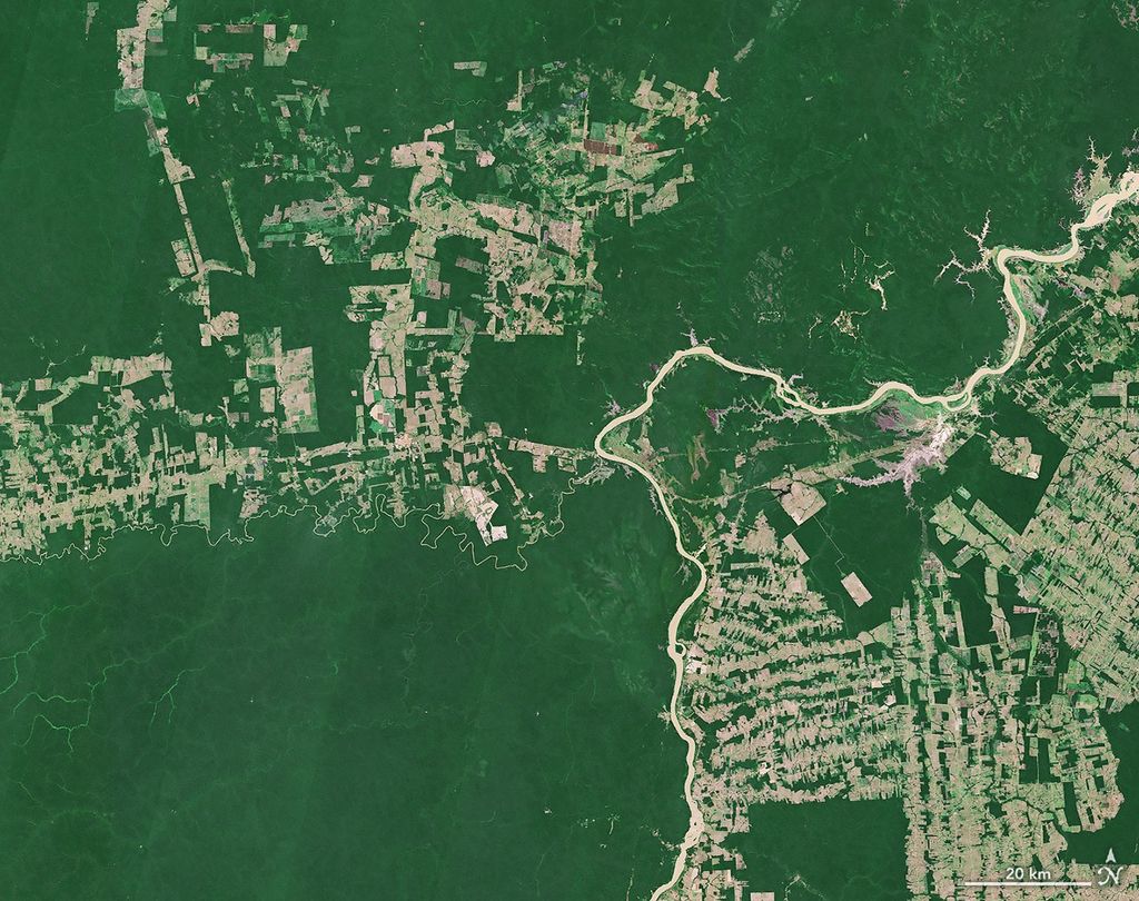 Satellite image of the Amazon rainforest showing dense green forest broken by brown patches of deforestation and infrastructure.