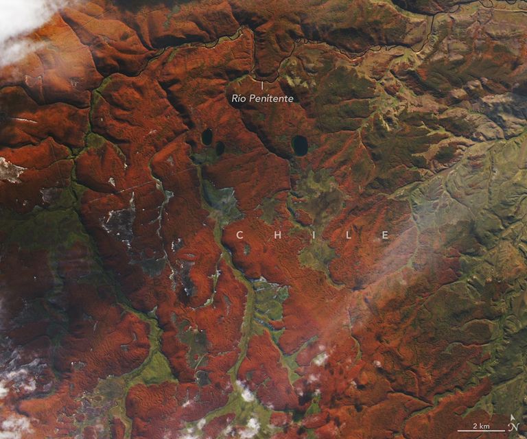 Fiery Fall Color in Southern Chile - NASA Science