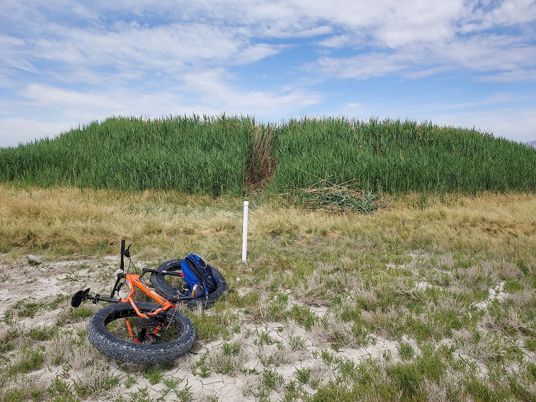 A ground-based photo shows a close-up view of one of the mounds covered by green reeds.