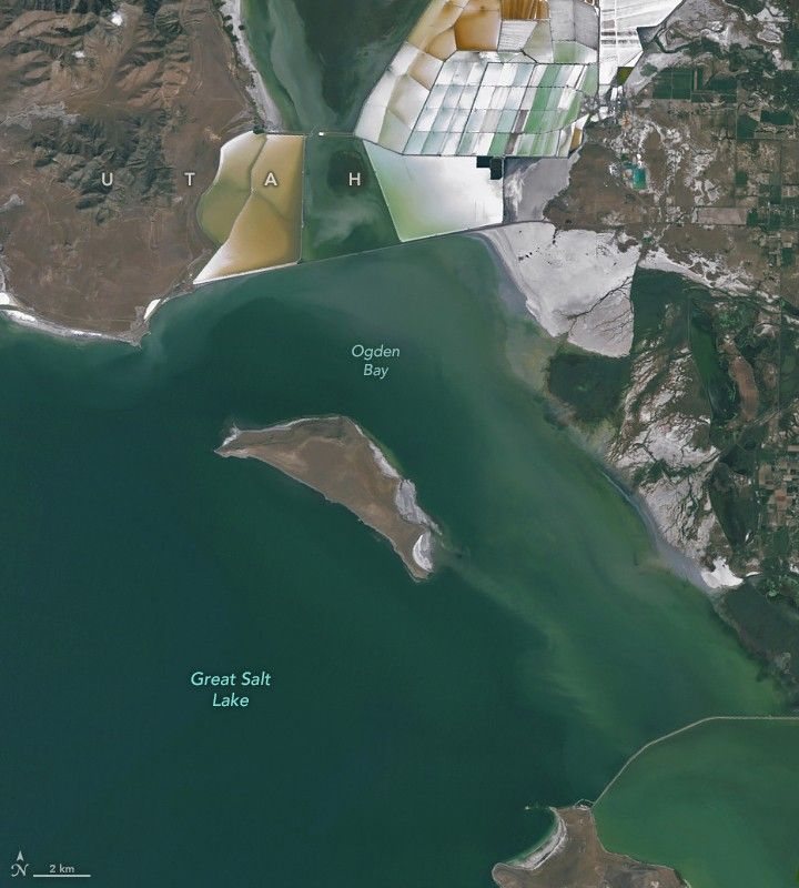 A satellite image of the Great Salt Lake shoreline in 2011, when higher water levels cover areas where mounds became visible in 2025.