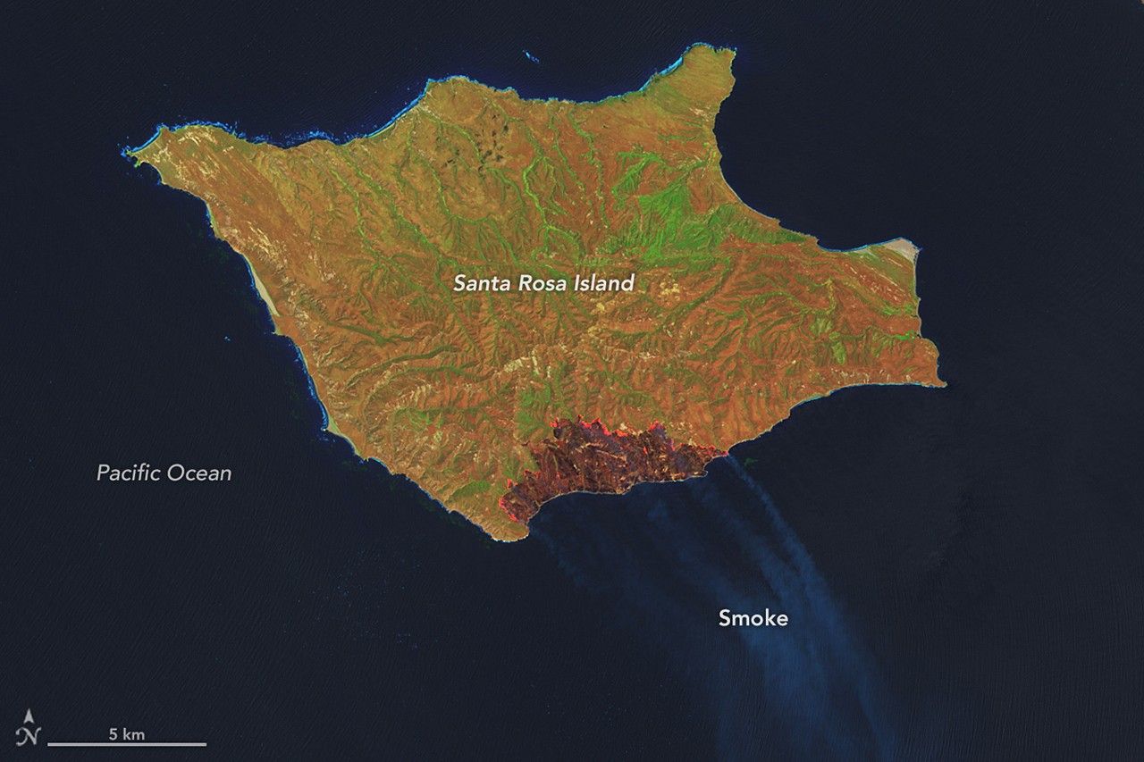 Santa Rosa Adası'nda Yangın Karakterleri
