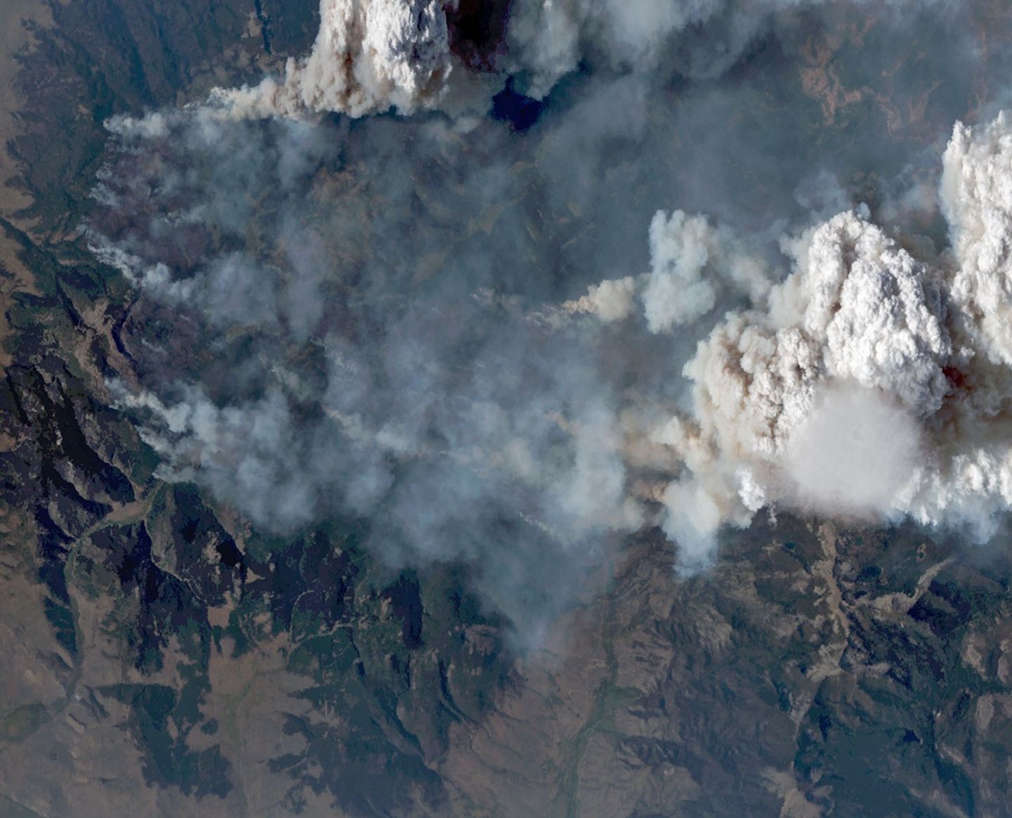 Natural-color aerial image of a wildfire in mountainous terrain. Thick gray and brown smoke spreads across much of the landscape, while a towering white pyrocumulus cloud rises at right. A smooth, thin pileus cloud hovers just below the main convective cloud.