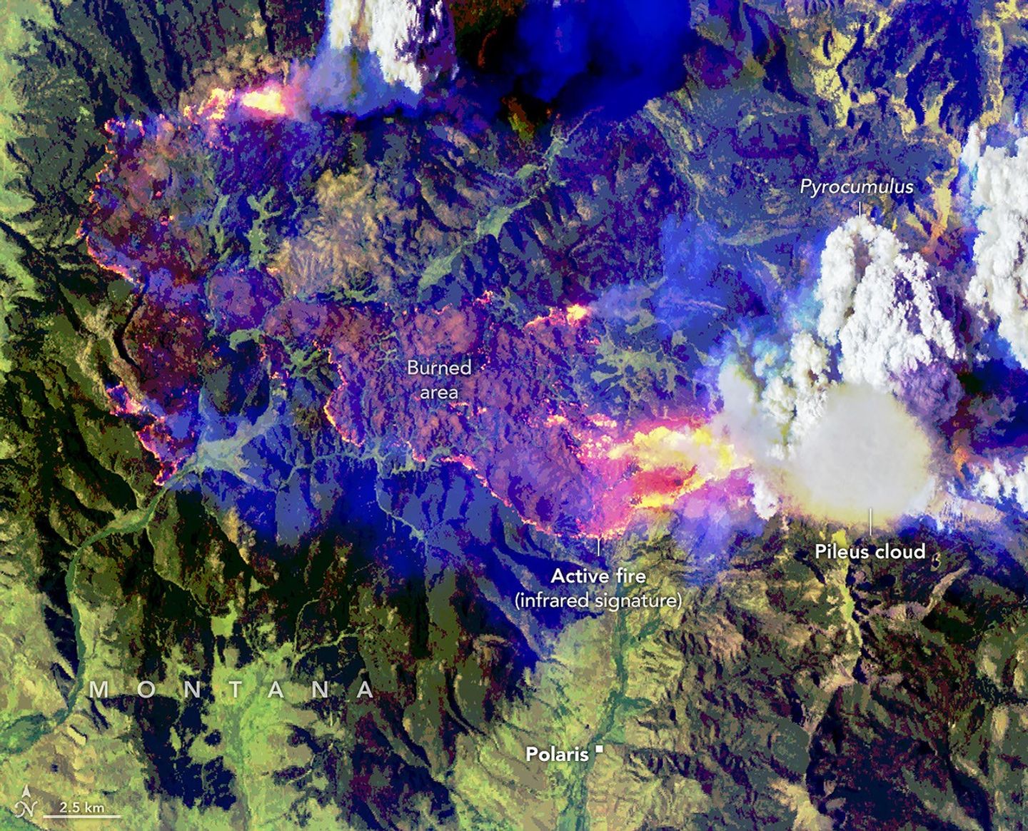 False-color aerial image of the same wildfire. Active fire fronts appear bright pink, magenta, and yellow around a large brown burned area. A towering white pyrocumulus cloud rises from the fire at right. A smooth, thin pileus cloud obscures part of its top.