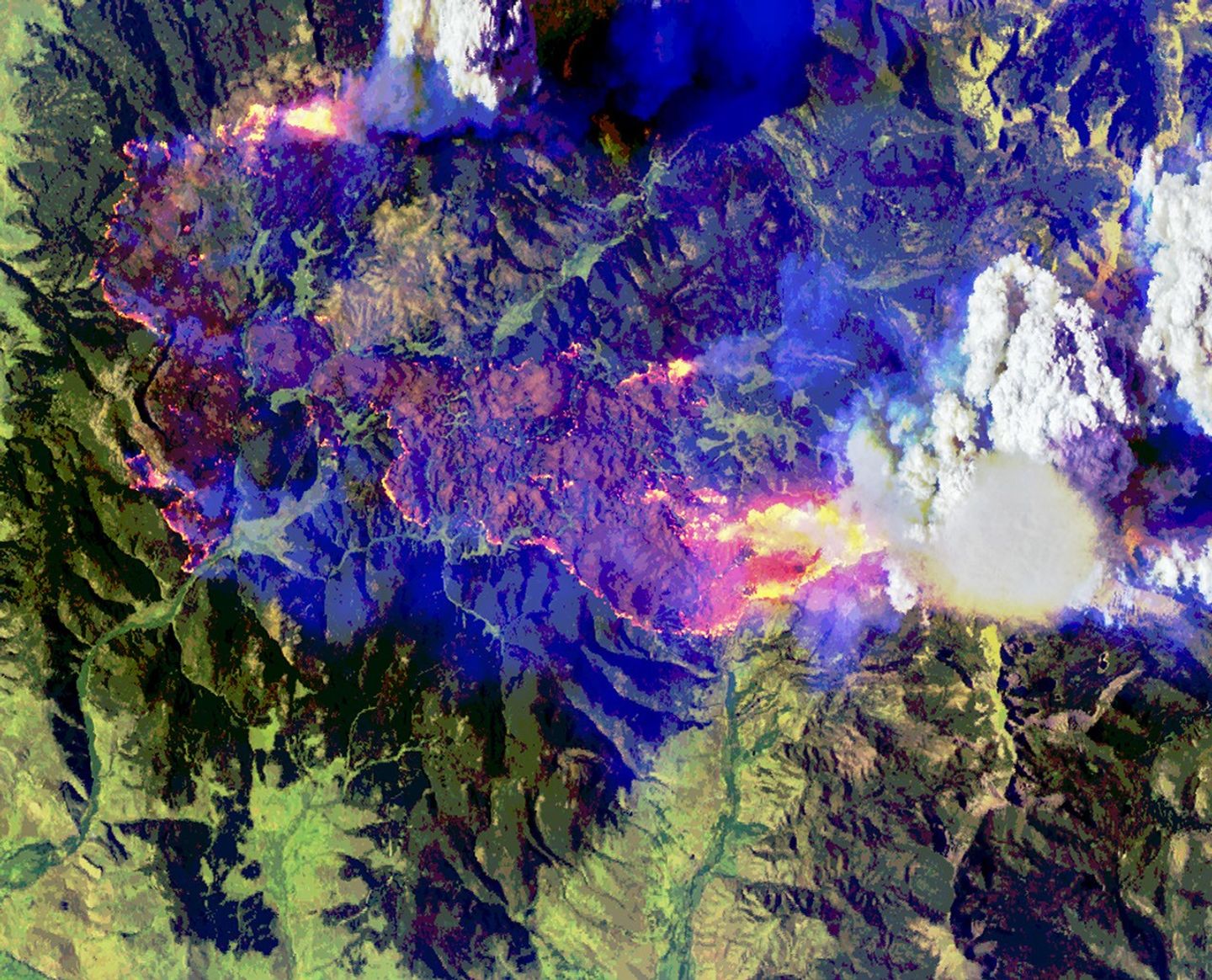 False-color aerial image of the same wildfire. Active fire fronts appear bright pink, magenta, and yellow around a large brown burned area. A towering white pyrocumulus cloud rises from the fire at right. A smooth, thin pileus cloud obscures part of its top.