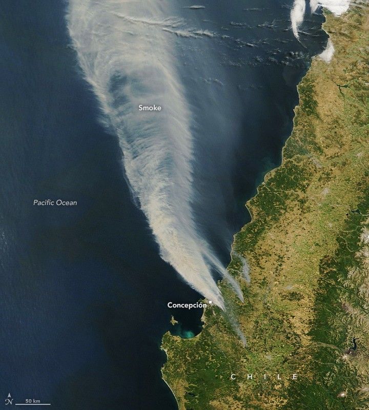 Brownish-gray smoke plumes billow to the northwest over the Pacific Ocean from wildfires near the Chilean city of Concepción.