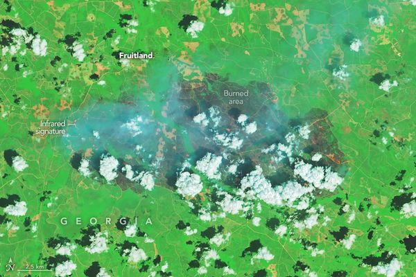 Fires Rage in Georgia - NASA Science