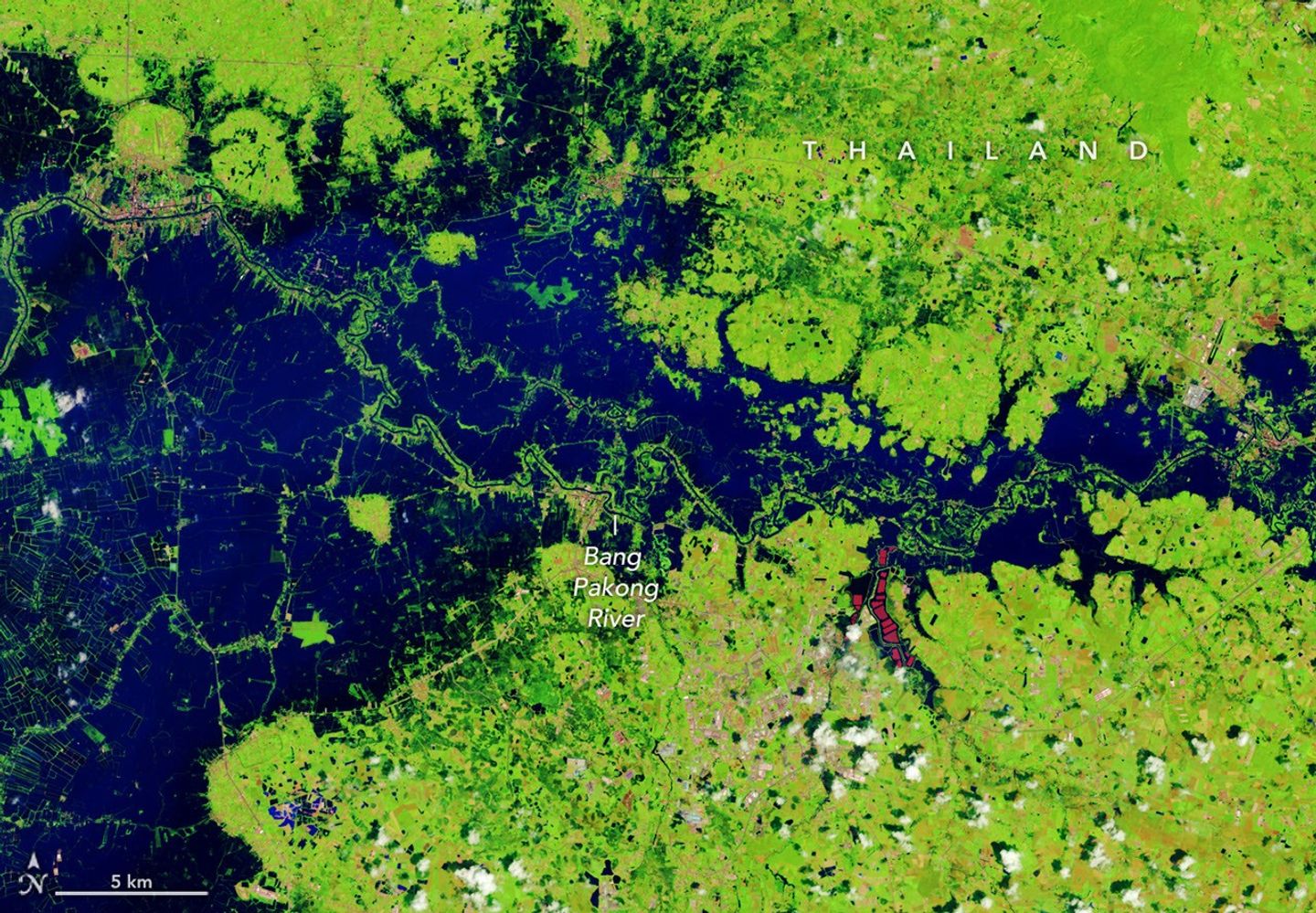 In a false-color satellite image of the same area, floodwaters (dark blue) flank a meandering river and cover a large swath of agricultural or aquacultural land primarily on the left side of the scene.