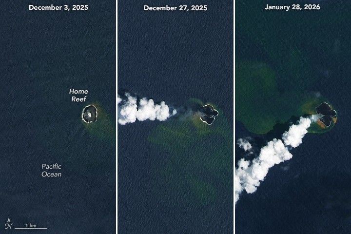 Three panels show the small volcanic island of Home Reef on different dates in December 2025 and January 2026. In each image from left to right, the island appears slightly larger, and plumes of volcanic gases and greenish, discolored water are more pronounced.