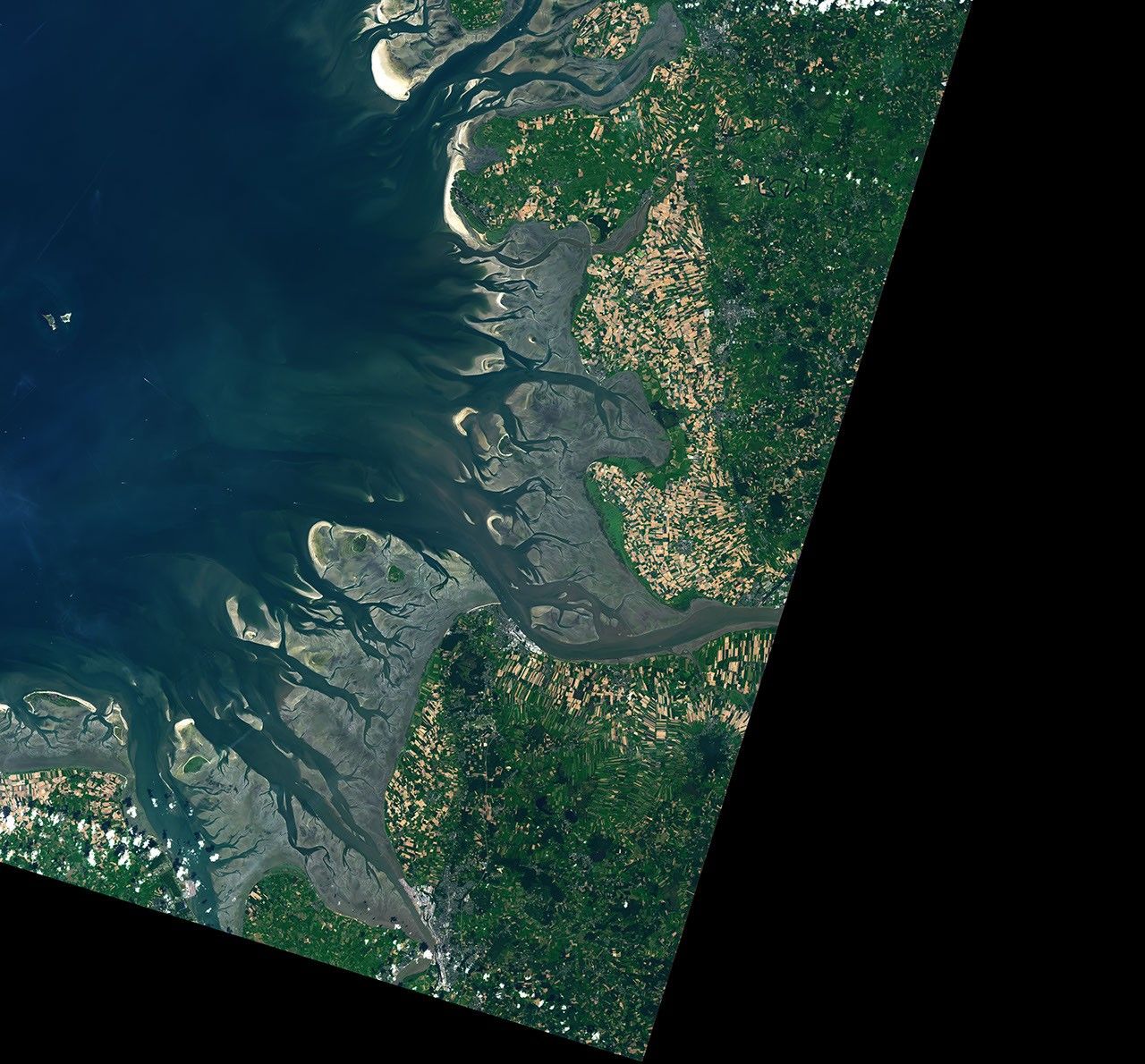 The Elbe river in Germany into the North Sea on the left side of the image. Low tide exposes wide, light-colored tidal flats interrupted by branching channels of dark water.