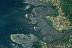 The Elbe river in Germany into the North Sea on the left side of the image. Low tide exposes wide, light-colored tidal flats interrupted by branching channels of dark water.