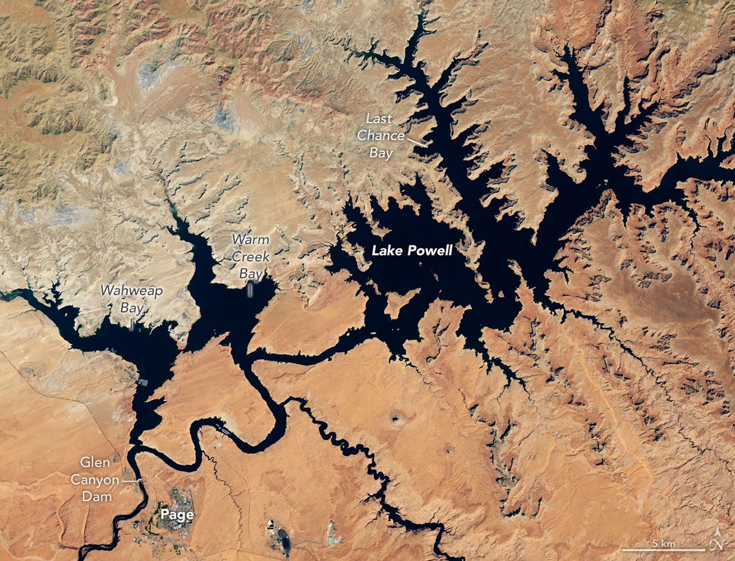 Dark blue water in Lake Powell fills several bays and branching canyons amid a light orange desert landscape. The Glen Canyon Dam and the town of Page, Arizona, are visible in the lower left.
