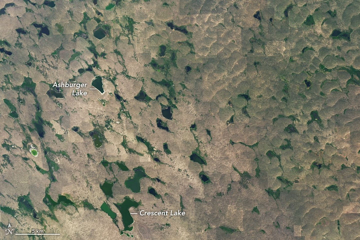 Small, irregularly shaped lakes and marshy areas are interspersed among tan hills.