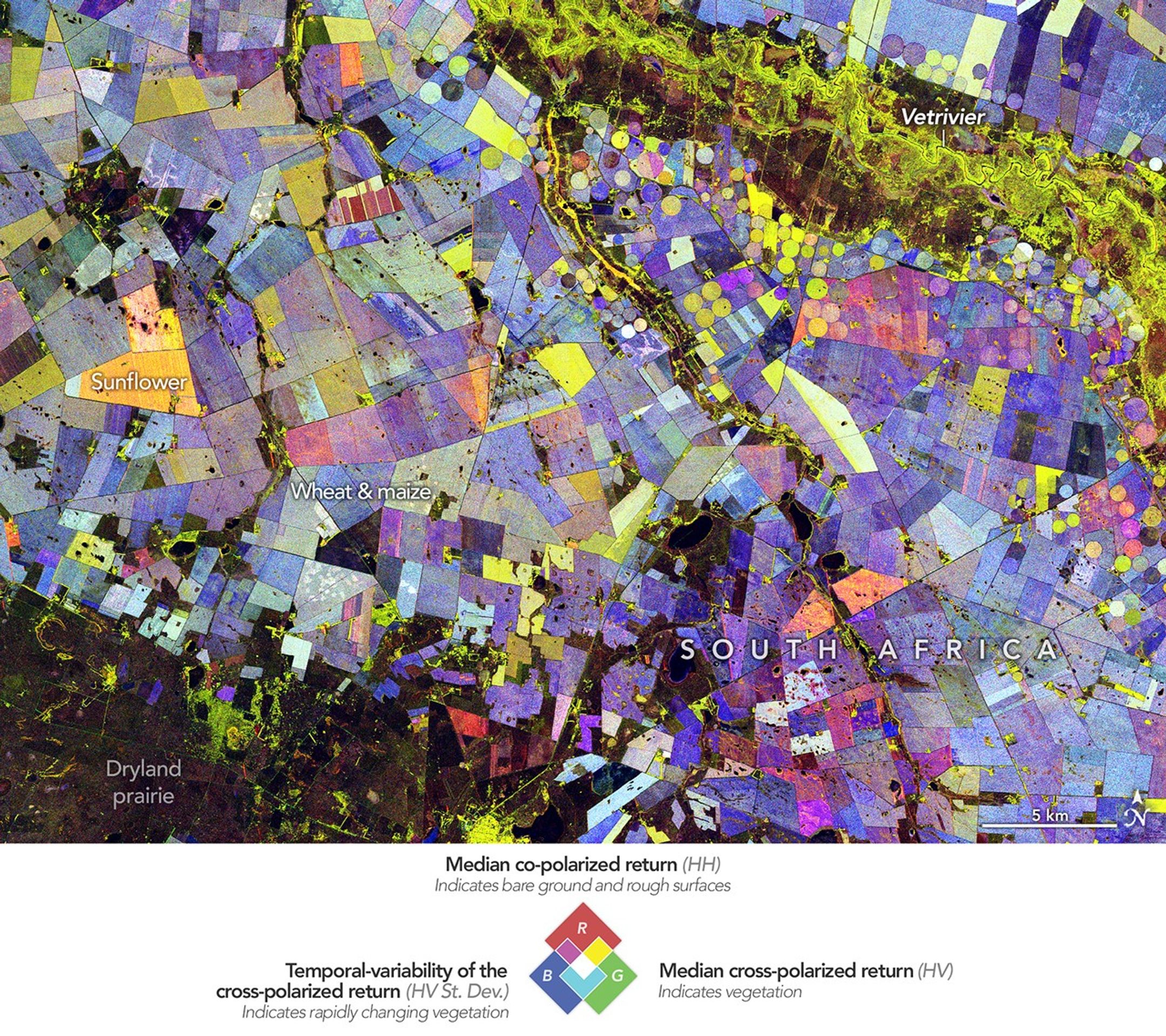 A visualization of agricultural land in South Africa shows geometric fields in an array of colors that combine red, green, and blue.