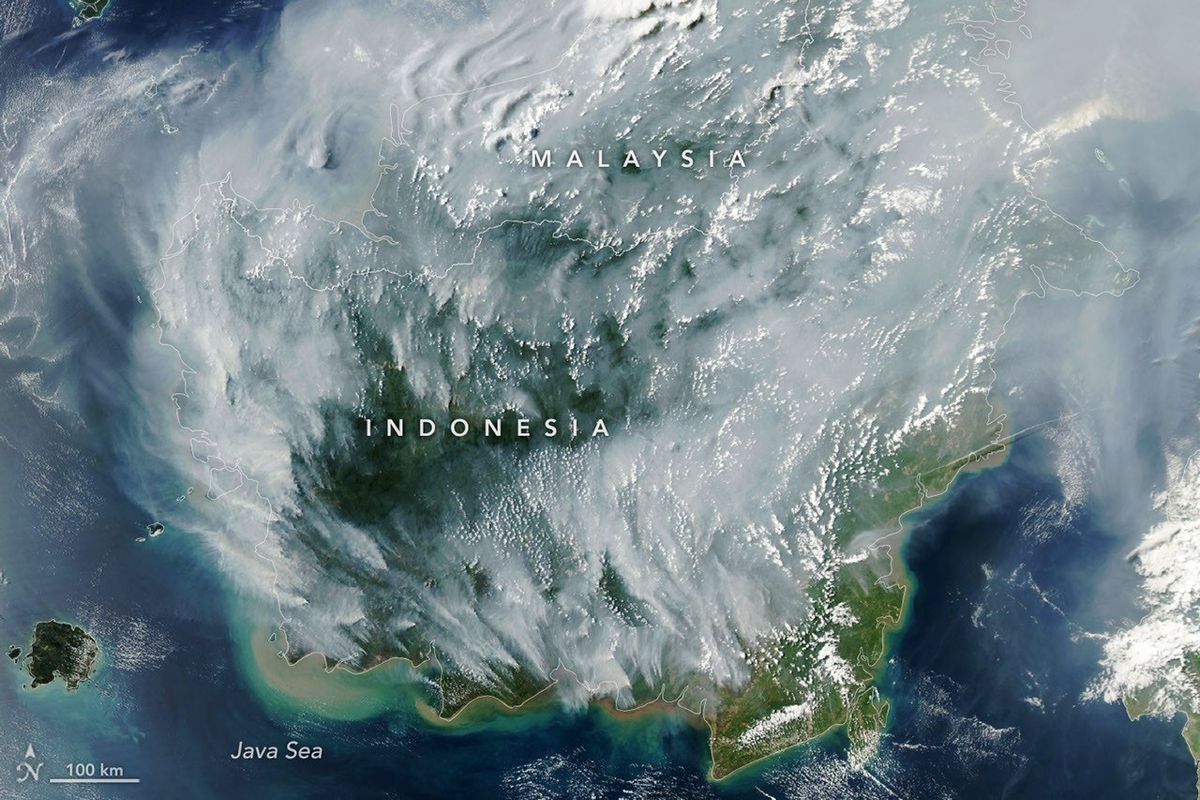 Peatland Fires Darken Skies in Indonesia