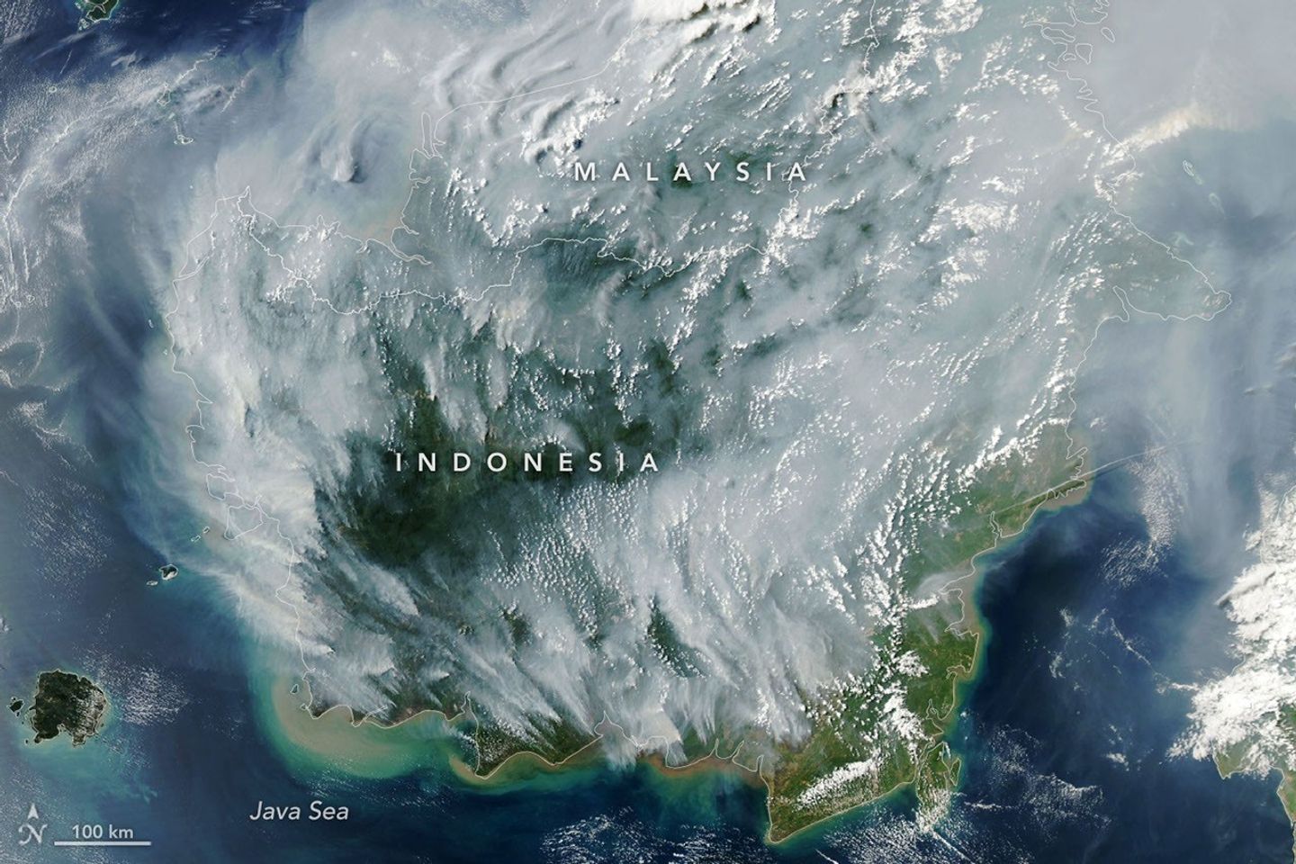 Thick gray plumes of smoke stream from large numbers of fires scattered across the island of Borneo.