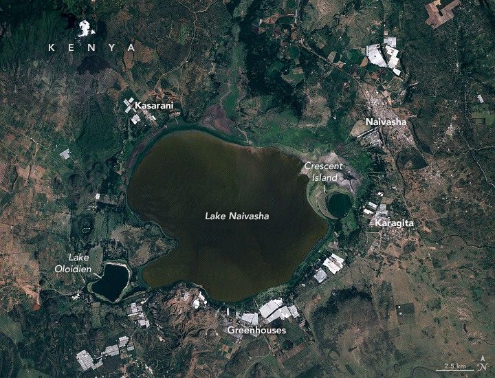 The first of a pair of satellite images shows Lake Naivasha with several communities surrounding it in 2010.