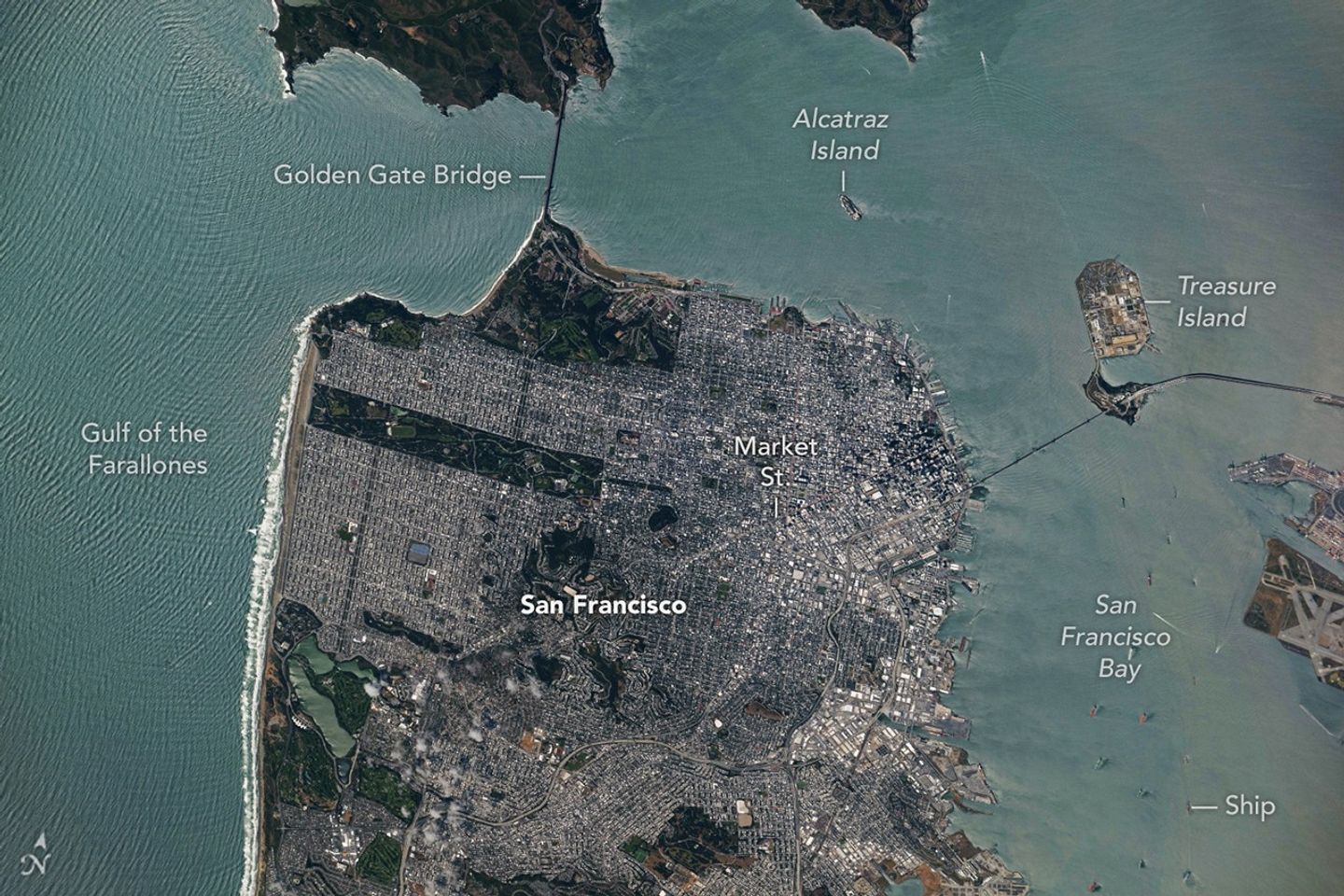San Francisco’s Metropolitan Mosaic