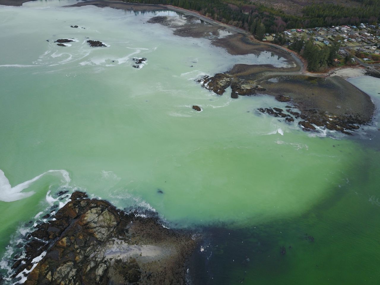 An aerial photo shows cloudy, greenish water along the coast of Vancouver Island.