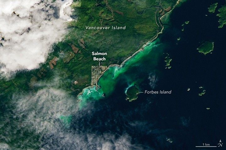 A swath of water along the coast of Vancouver Island appears cloudy and green to turquoise in color.