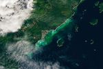 A swath of water along the coast of Vancouver Island appears cloudy and green to turquoise in color.