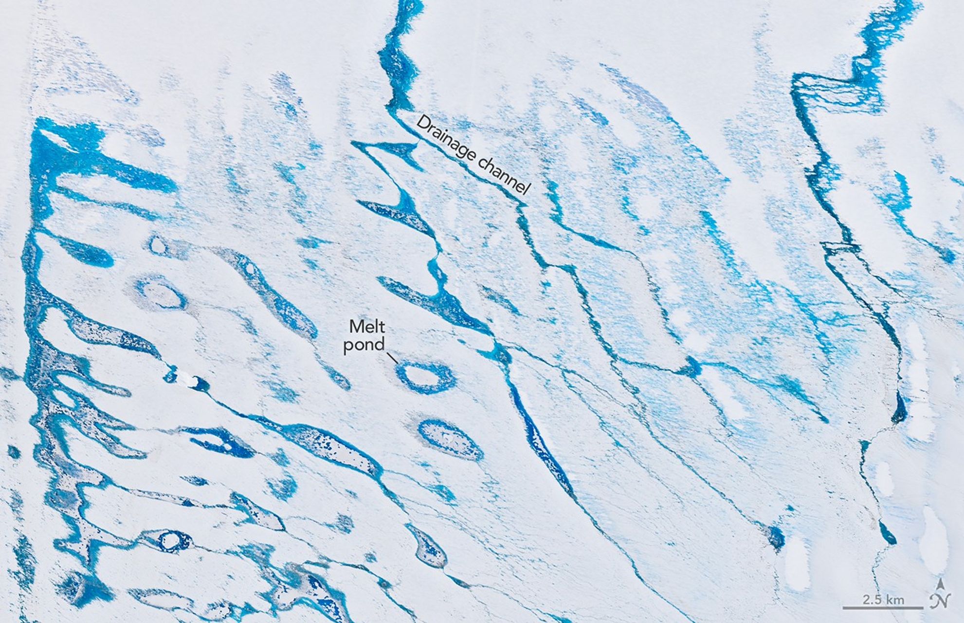 Drainage channels filled with blue meltwater zigzag across the white surfaces of Nivlisen Ice Shelf .