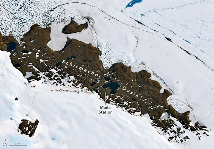 Schirmacher Oasis appears as a brown rocky plateau dotted with ice-covered lakes surrounded by fields of mostly white ice.